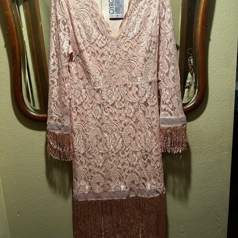 Chic Lace Long Sleeve Dress with Fringe